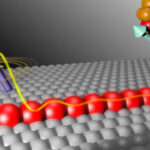 Scientific representation of Majorana Fermions: stemaccent