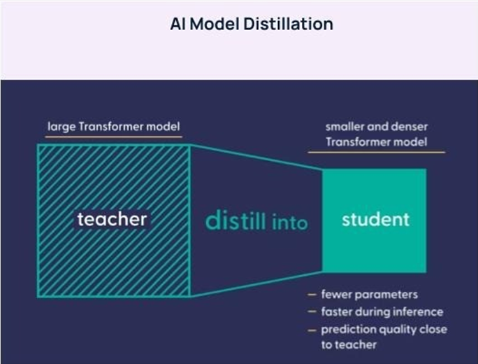 Understanding AI Model Distillation